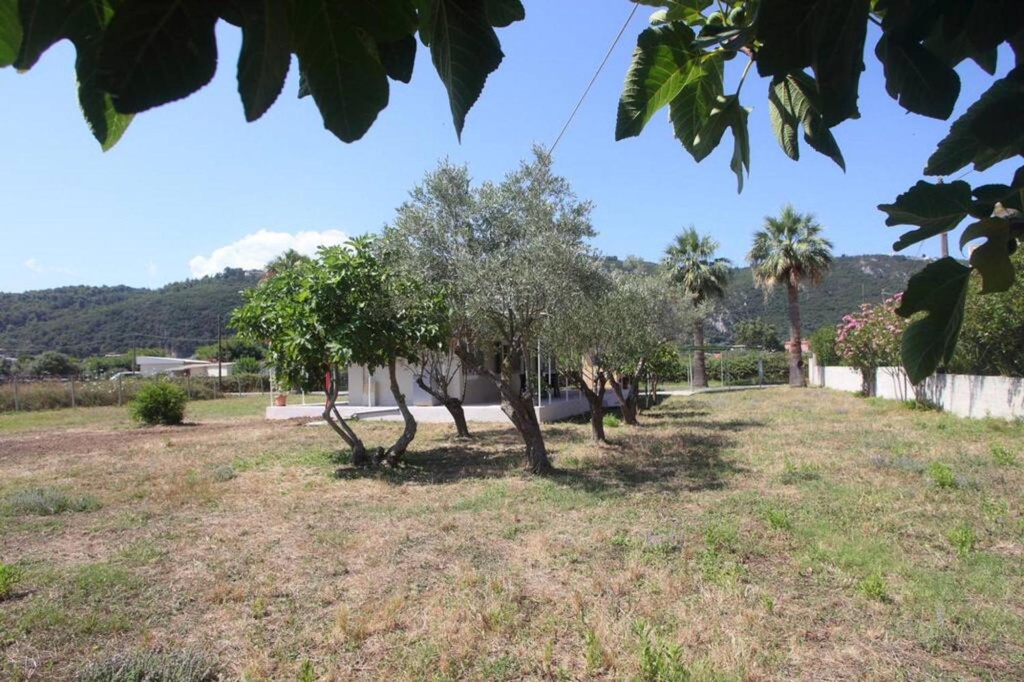 Olga Home Agios Ioannis Lefkada - Lefkada Bnb Extérieur photo